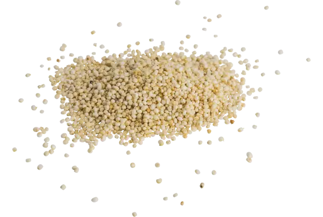 Quinoa gepoft 200gr stuk